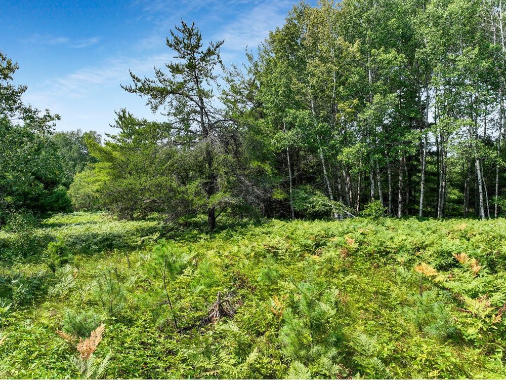 0 Clear Lake Rd Hayward WI 54843 1576094 image1