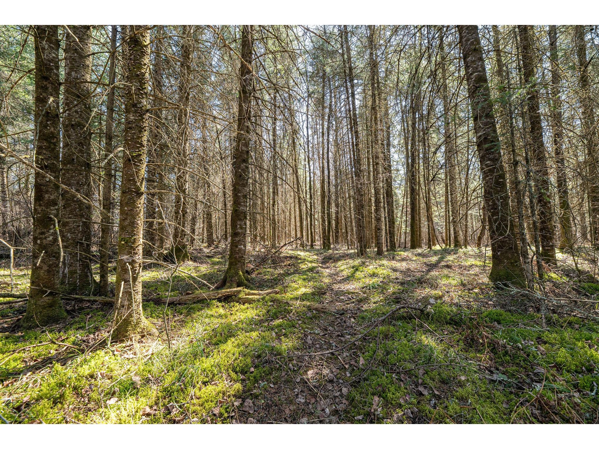 0 Clover Rd S Winter WI 54896 - Brunet 1600232 image1