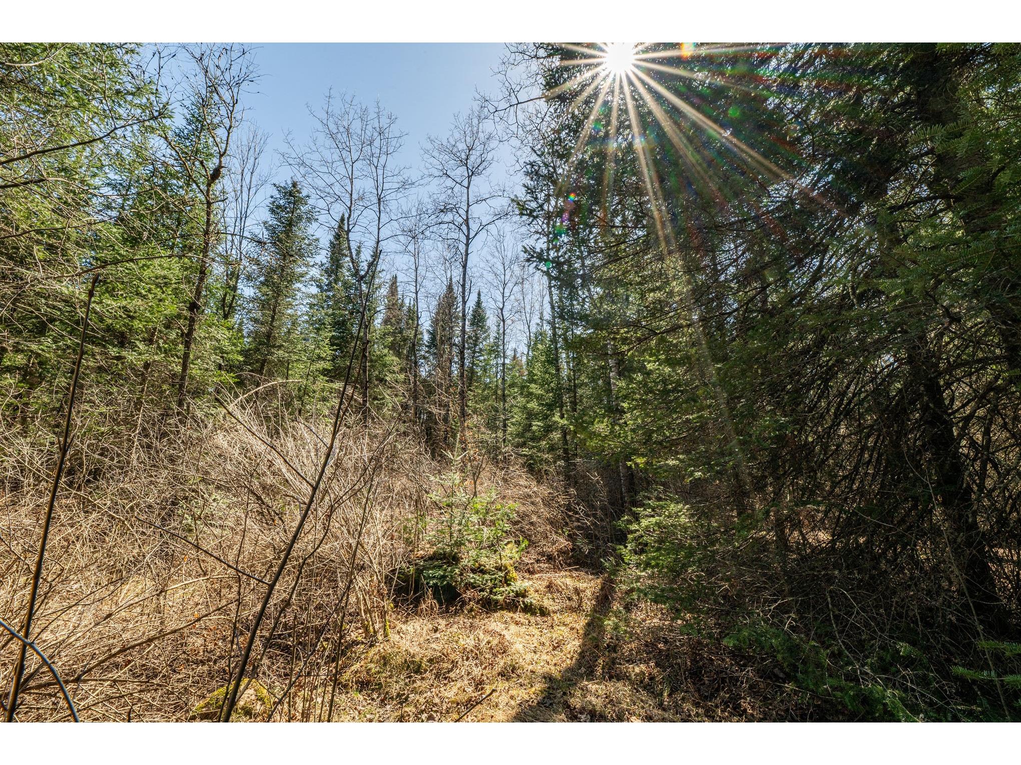 0 Clover Rd S Winter WI 54896 - Brunet 1600232 image8