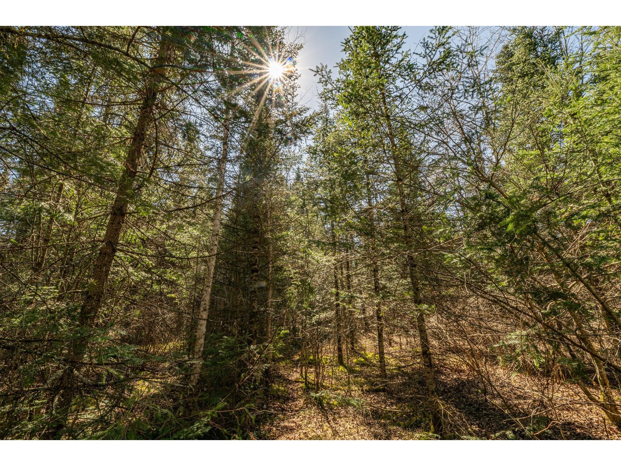 0 Clover Rd S Winter WI 54896 - Brunet 1600232 image9