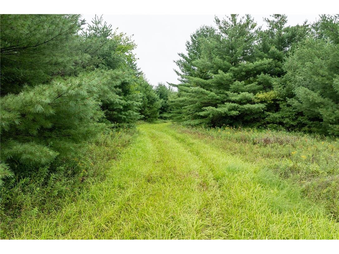 0 County Highway 27 Augusta WI 54722 1594712 image33