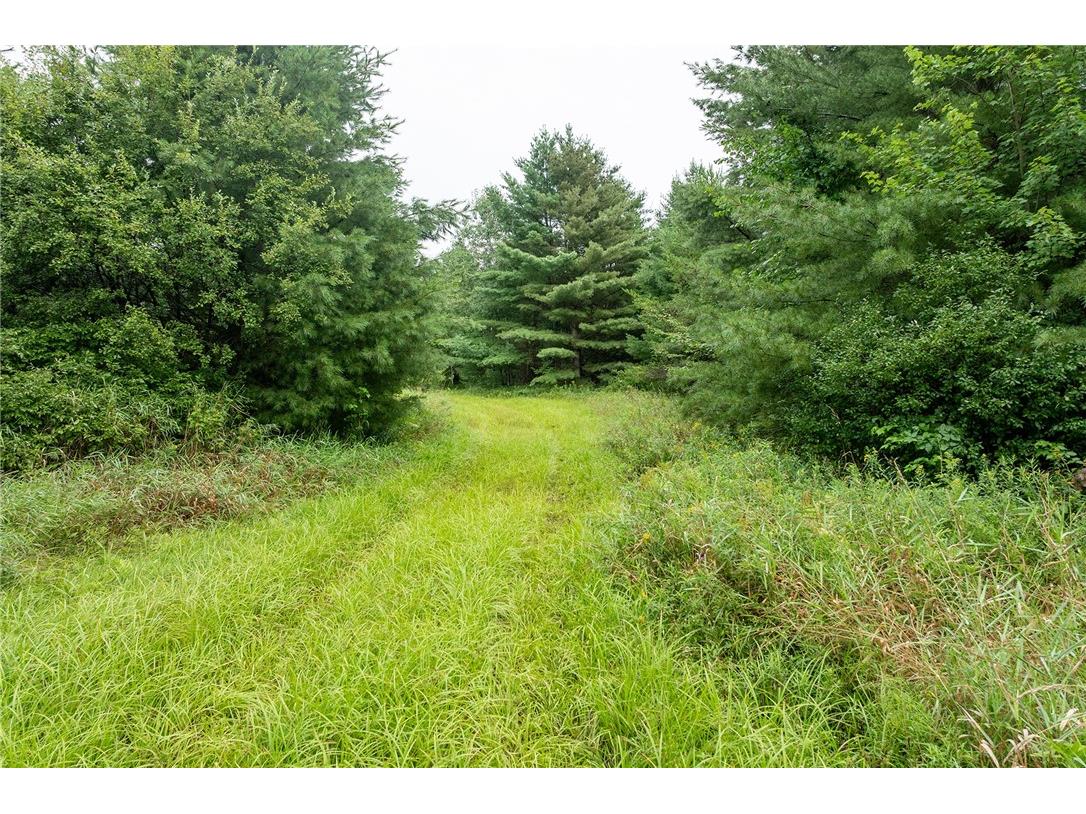 0 County Highway 27 Augusta WI 54722 1594712 image34