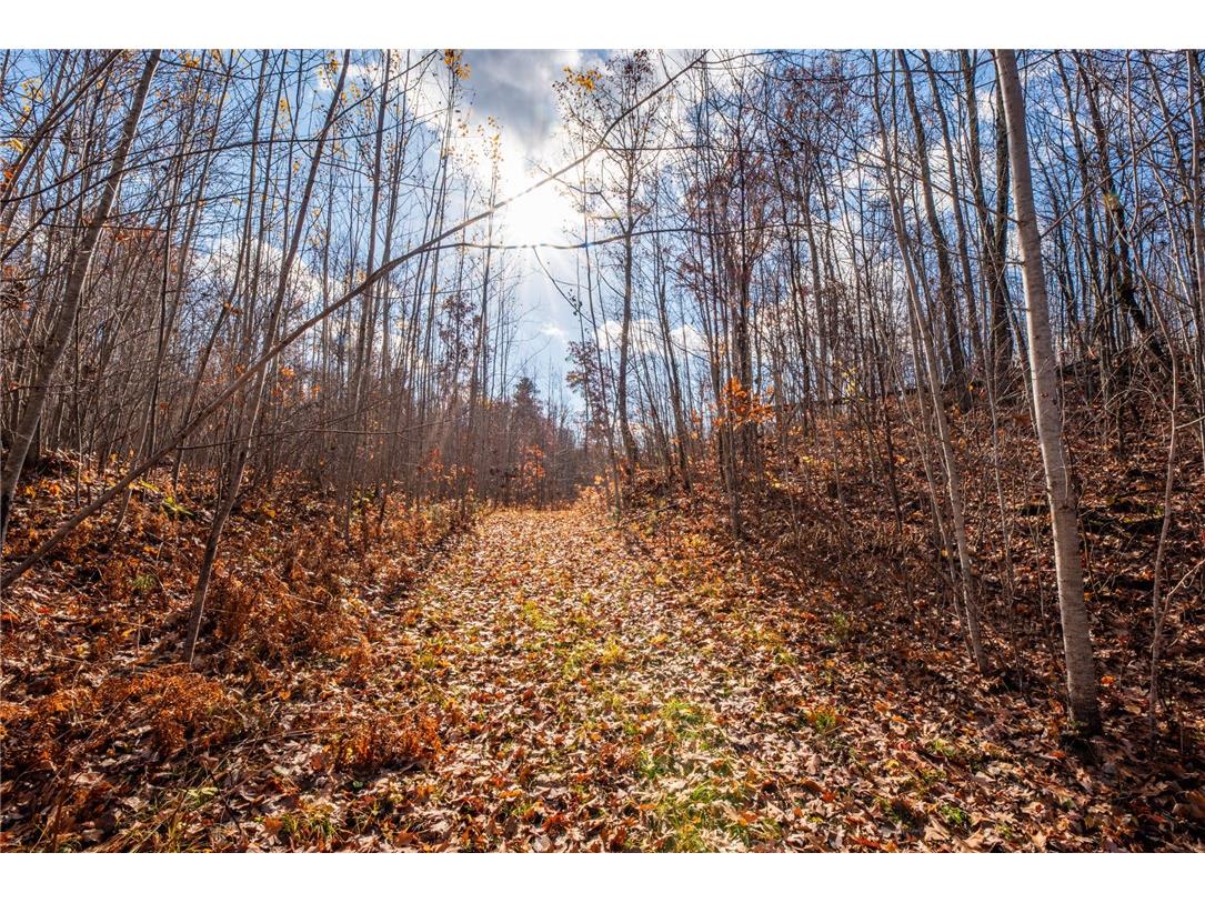 0 County Highway E Hayward WI 54843 1586900 image1