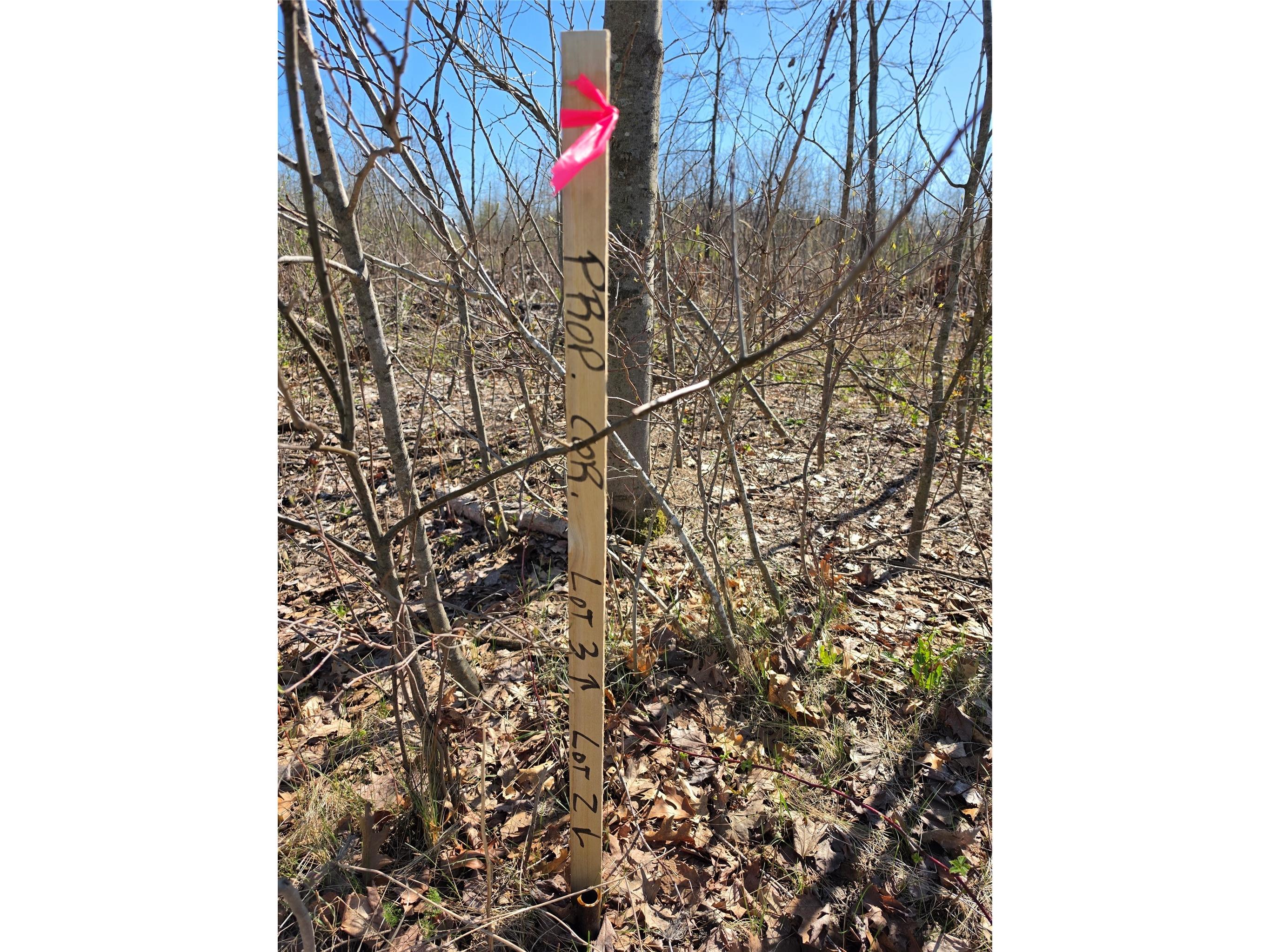 0 County Highway E Lot 3 Elk Mound WI 54739 1600992 image10