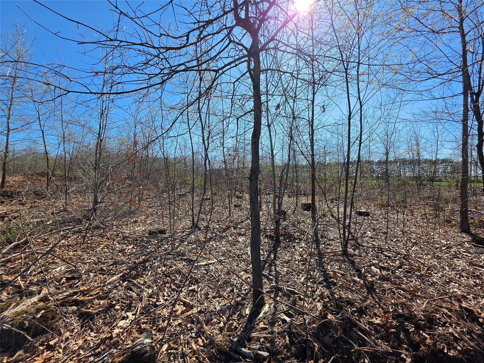 0 County Highway E Lot 3 Elk Mound WI 54739 1600992 image6