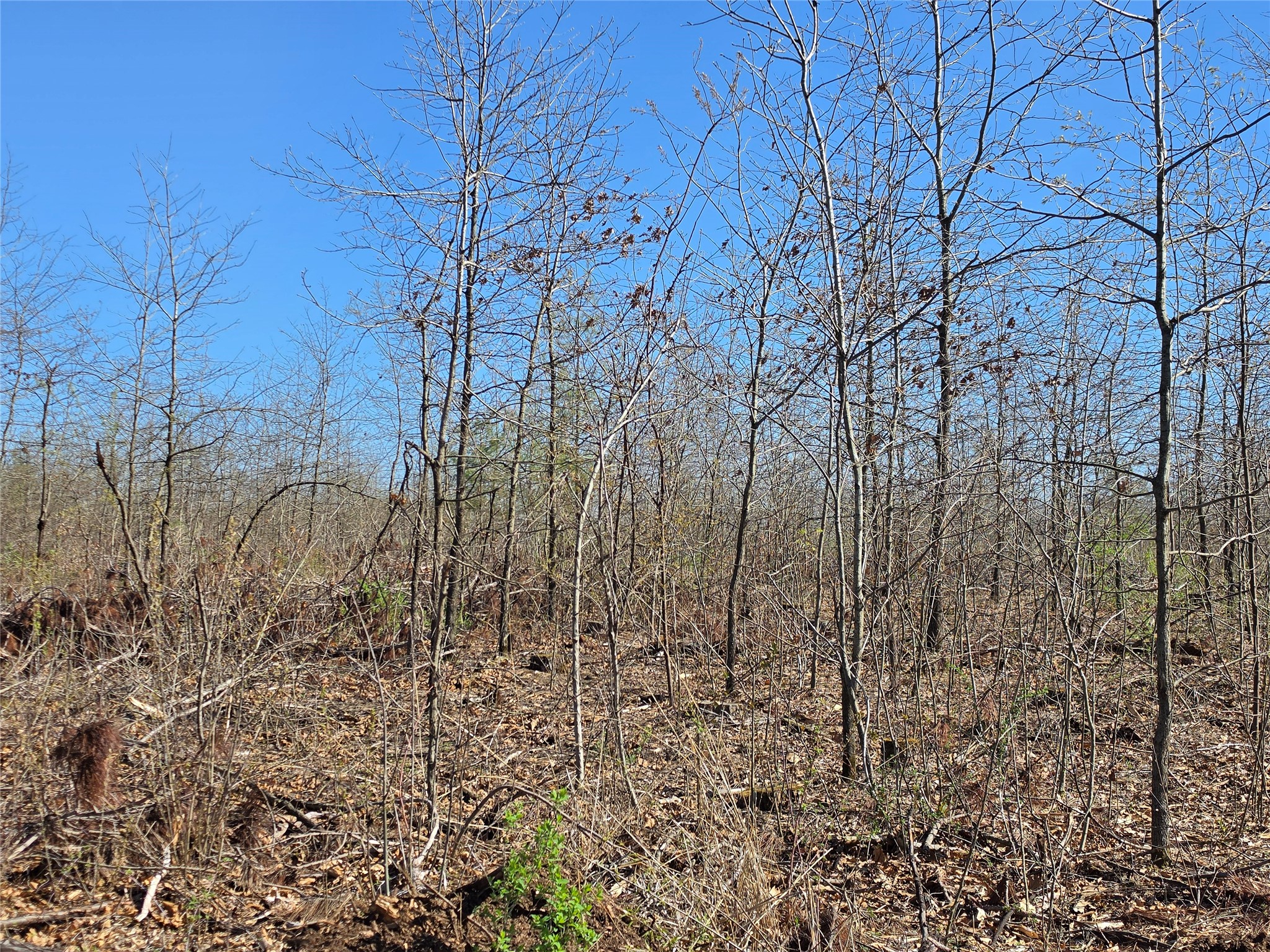 0 County Highway E Lot 3 Elk Mound WI 54739 1600992 image7