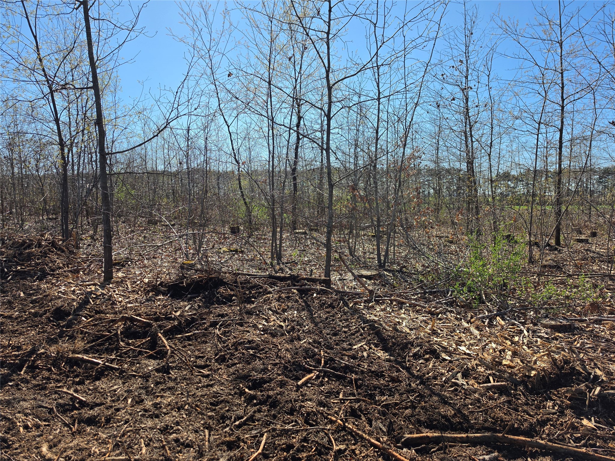 0 County Highway E Lot 3 Elk Mound WI 54739 1600992 image8