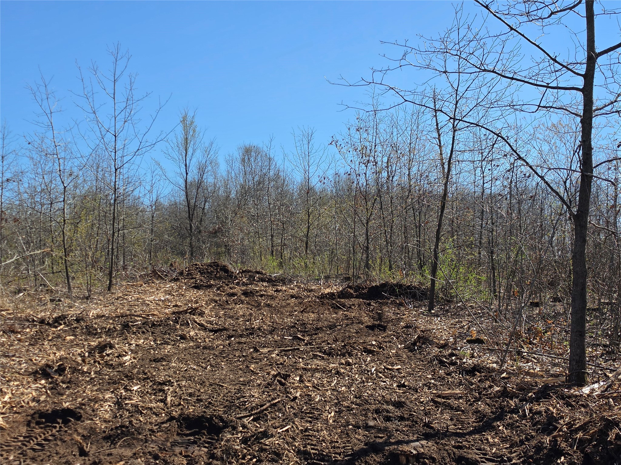 0 County Highway E Lot 3 Elk Mound WI 54739 1600992 image9