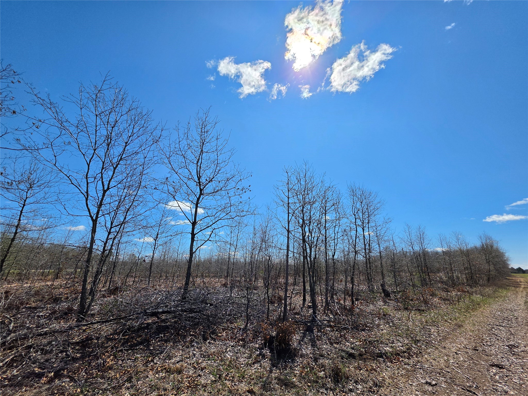 0 County Highway E Lot 4 Elk Mound WI 54739 1597568 image10