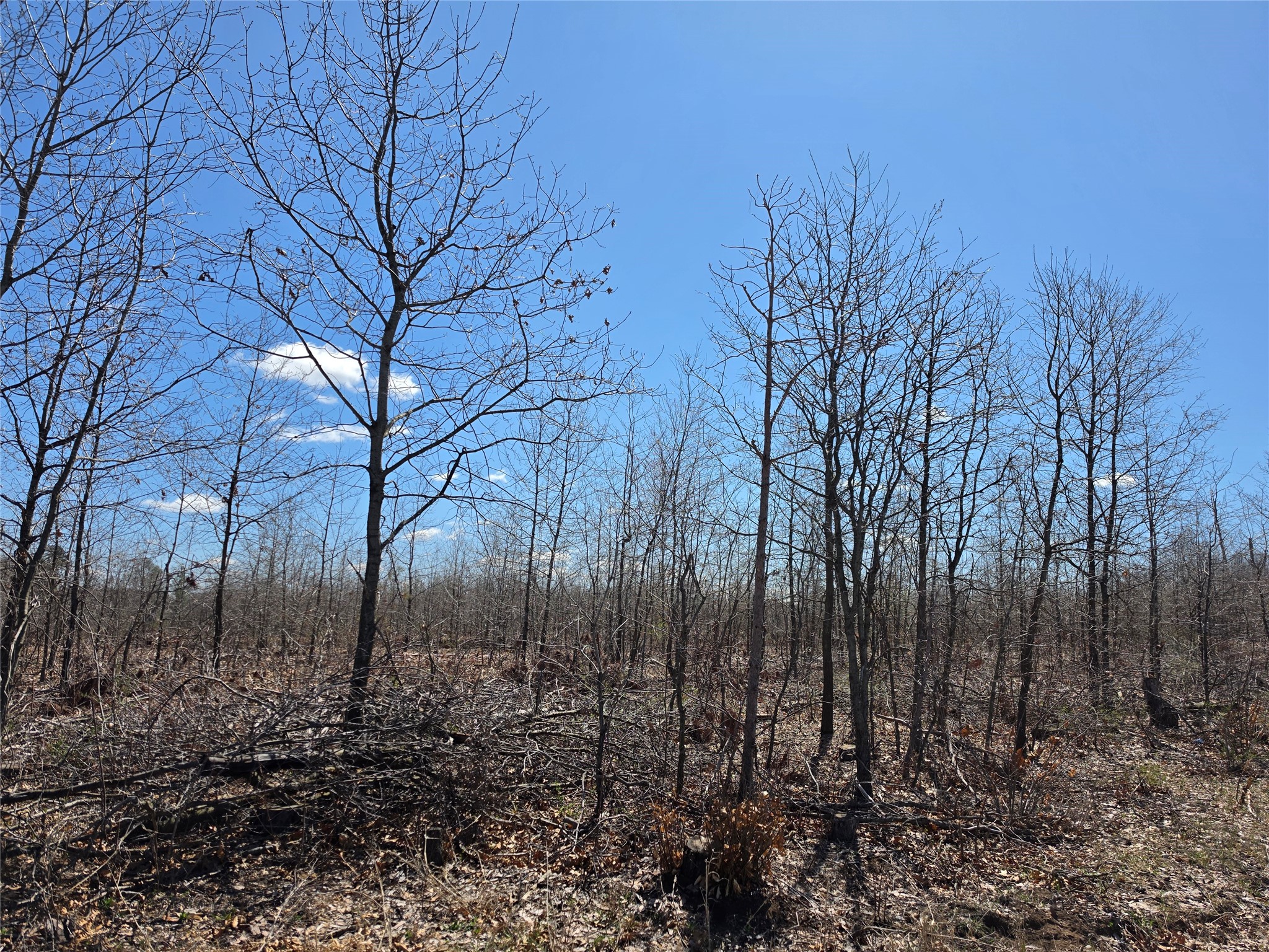 0 County Highway E Lot 4 Elk Mound WI 54739 1597568 image11