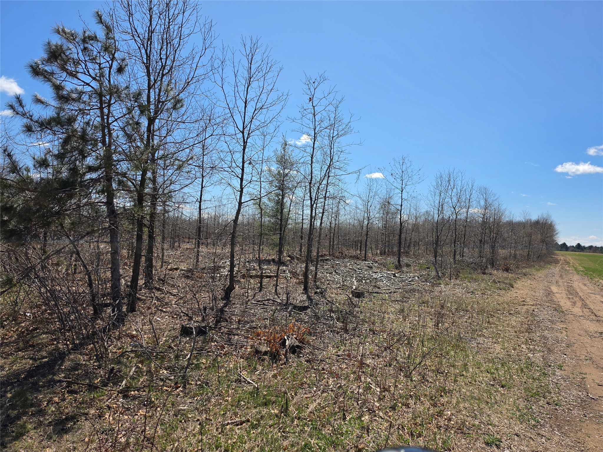 0 County Highway E Lot 4 Elk Mound WI 54739 1597568 image12