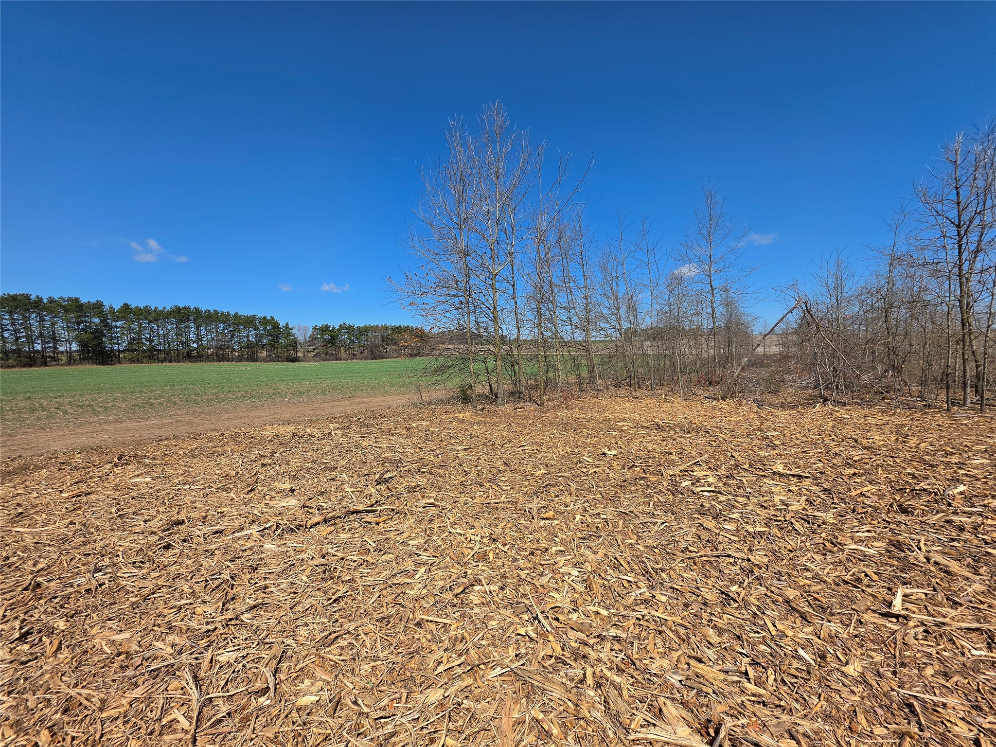 0 County Highway E Lot 4 Elk Mound WI 54739 1597568 image4