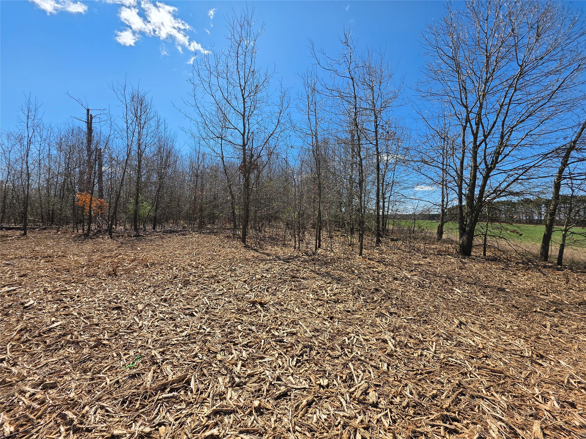 0 County Highway E Lot 4 Elk Mound WI 54739 1597568 image7