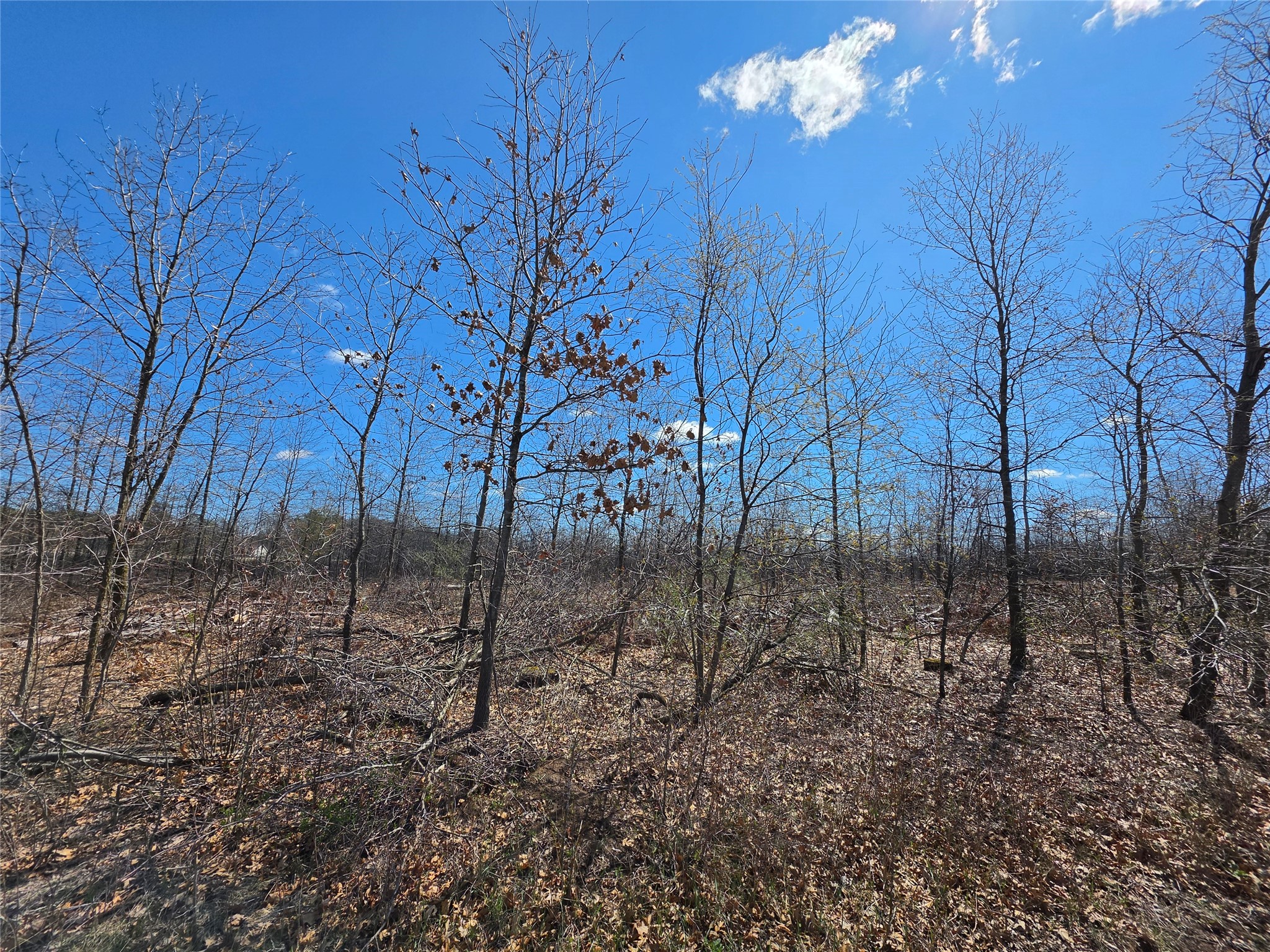 0 County Highway E Lot 4 Elk Mound WI 54739 1597568 image9