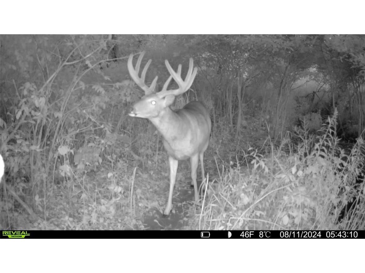 0 County Highway Oo Osseo WI 54758 1585052 image1