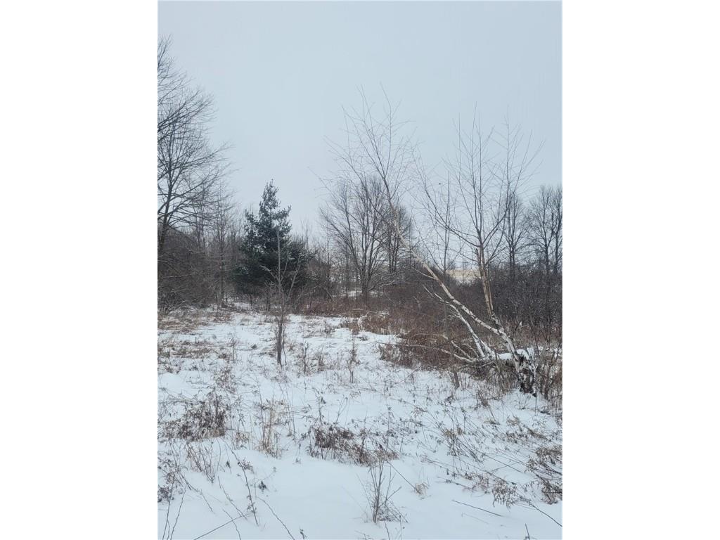 0 County Hwy B Lot 1 Neillsville WI 54456 1597934 image12