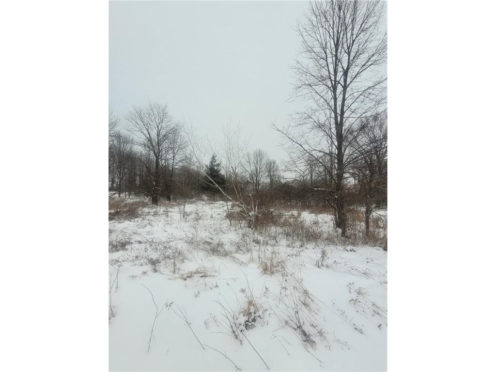 0 County Hwy B Lot 1 Neillsville WI 54456 1597934 image14
