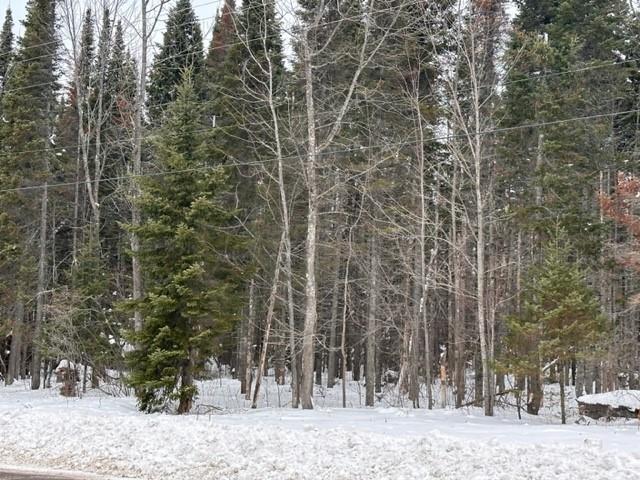 0 County Hwy C Washburn WI 54891 1570492 image1