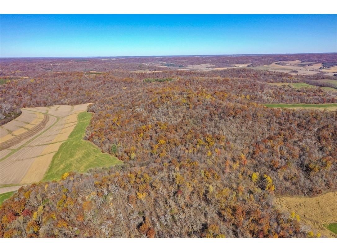 0 County Kk Alma WI 54610 1596932 image14