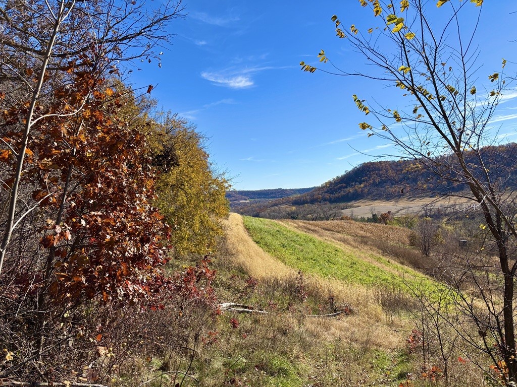 0 County Kk Alma WI 54610 1596932 image15