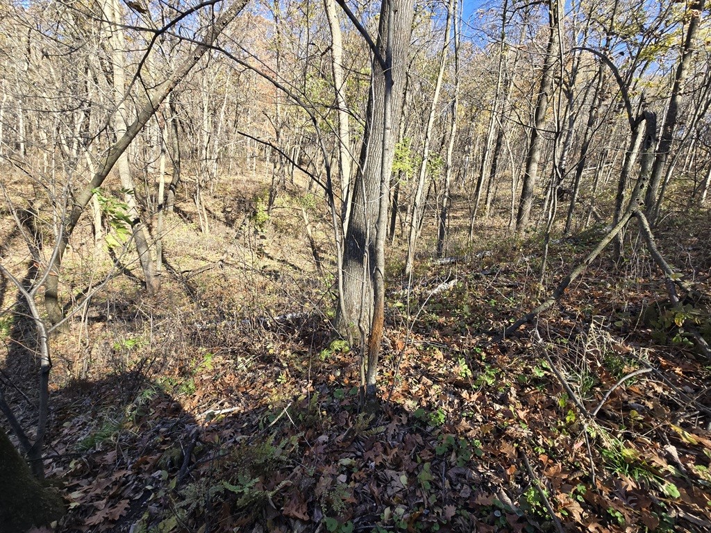 0 County Kk Alma WI 54610 1596932 image22