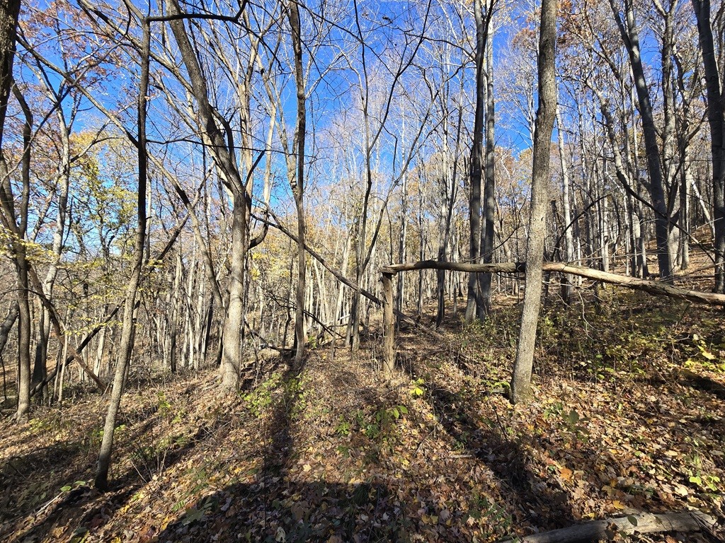 0 County Kk Alma WI 54610 1596932 image23