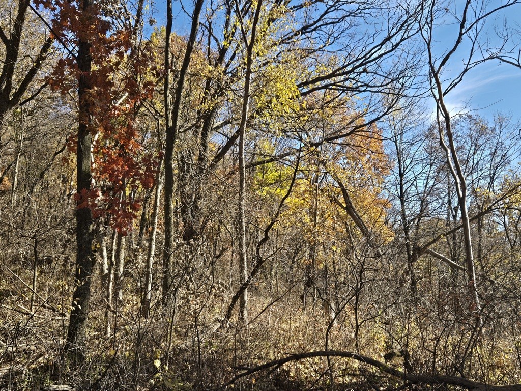 0 County Kk Alma WI 54610 1596932 image24