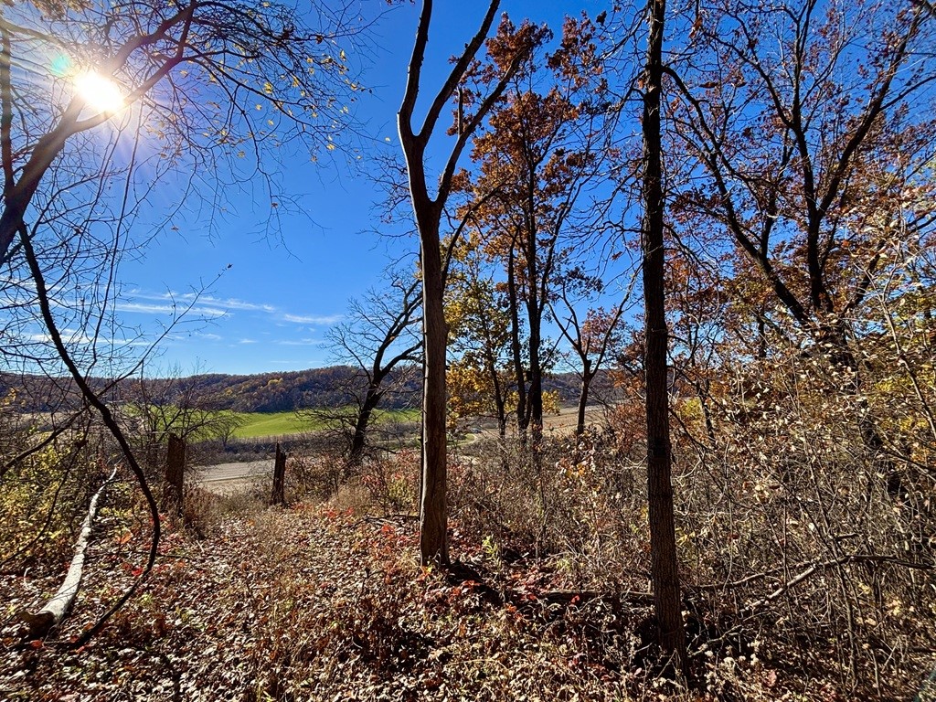 0 County Kk Alma WI 54610 1596932 image26