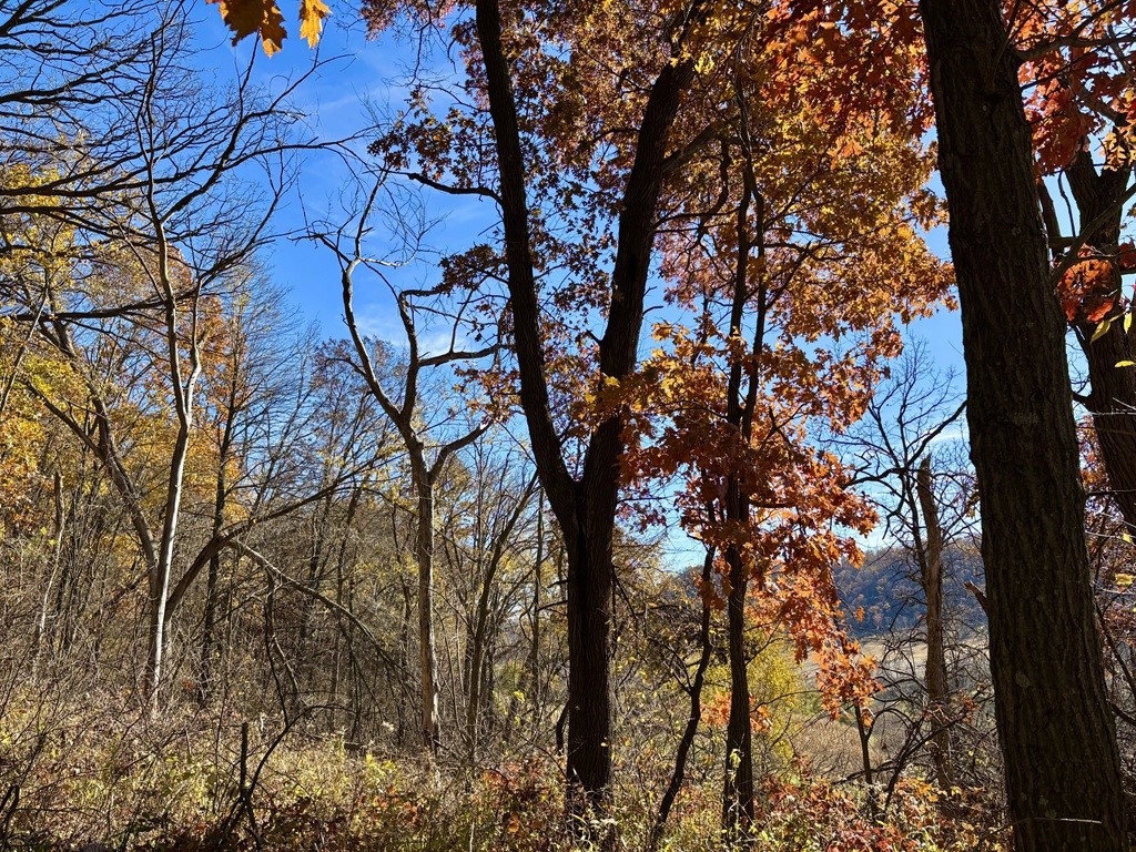 0 County Kk Alma WI 54610 1596932 image27