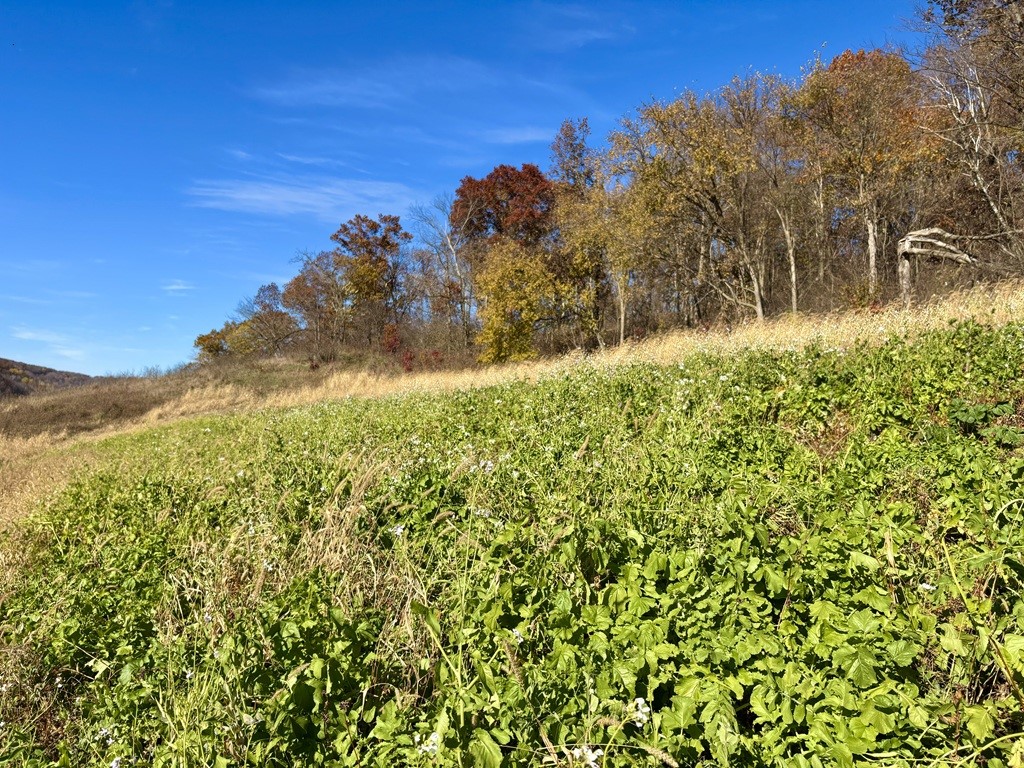 0 County Kk Alma WI 54610 1596932 image30