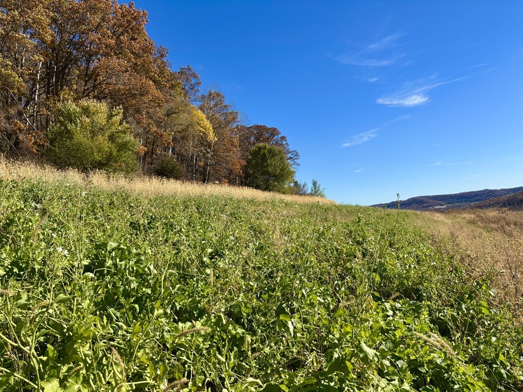 0 County Kk Alma WI 54610 1596932 image31