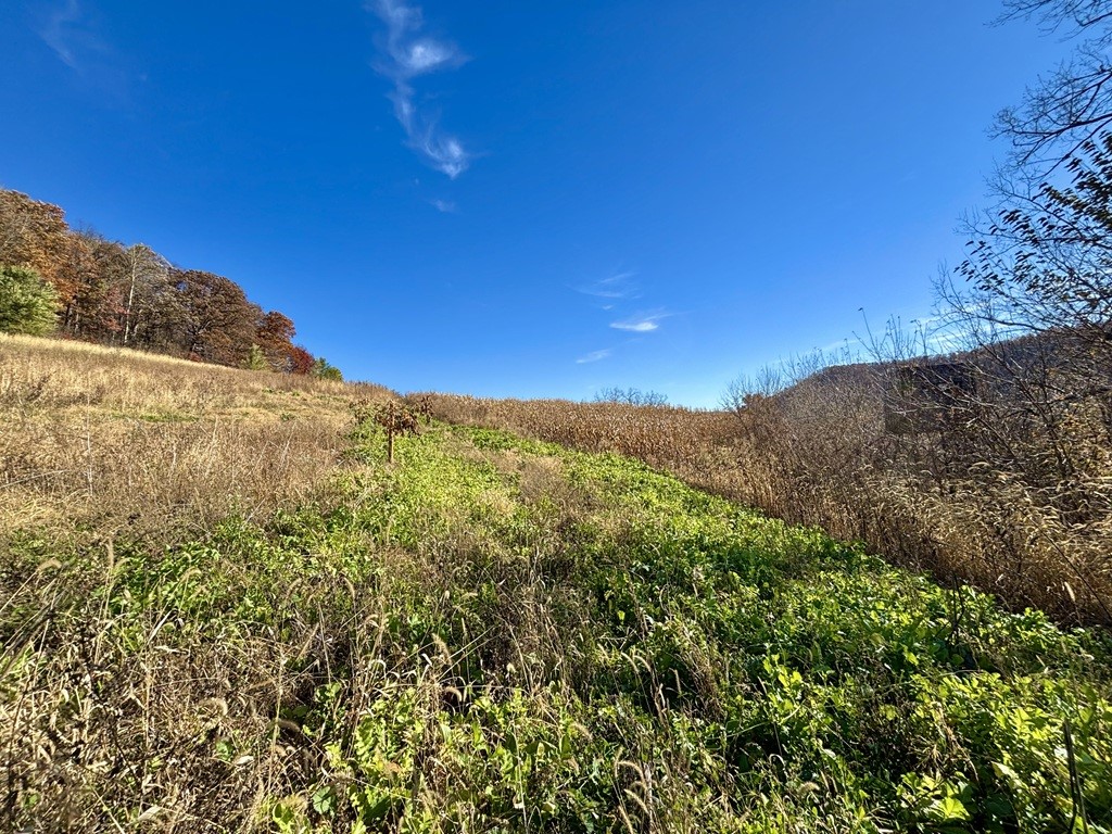 0 County Kk Alma WI 54610 1596932 image32