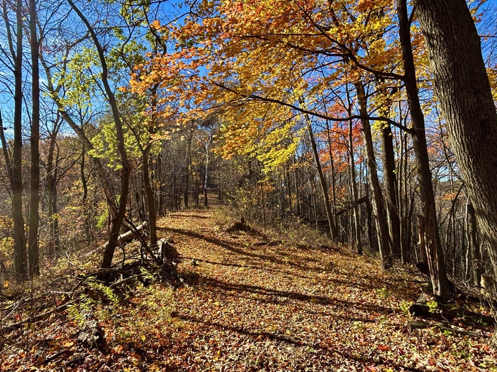 0 County Kk Alma WI 54610 1596932 image34