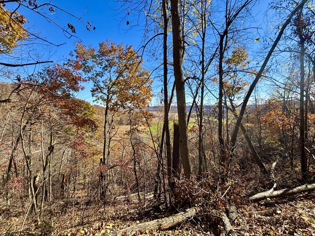 0 County Kk Alma WI 54610 1596932 image36