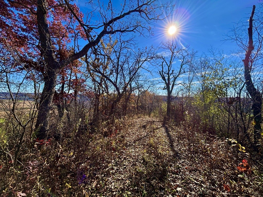 0 County Kk Alma WI 54610 1596932 image37