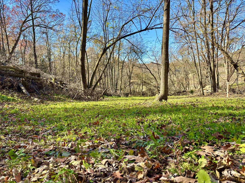 0 County Kk Alma WI 54610 1596932 image38