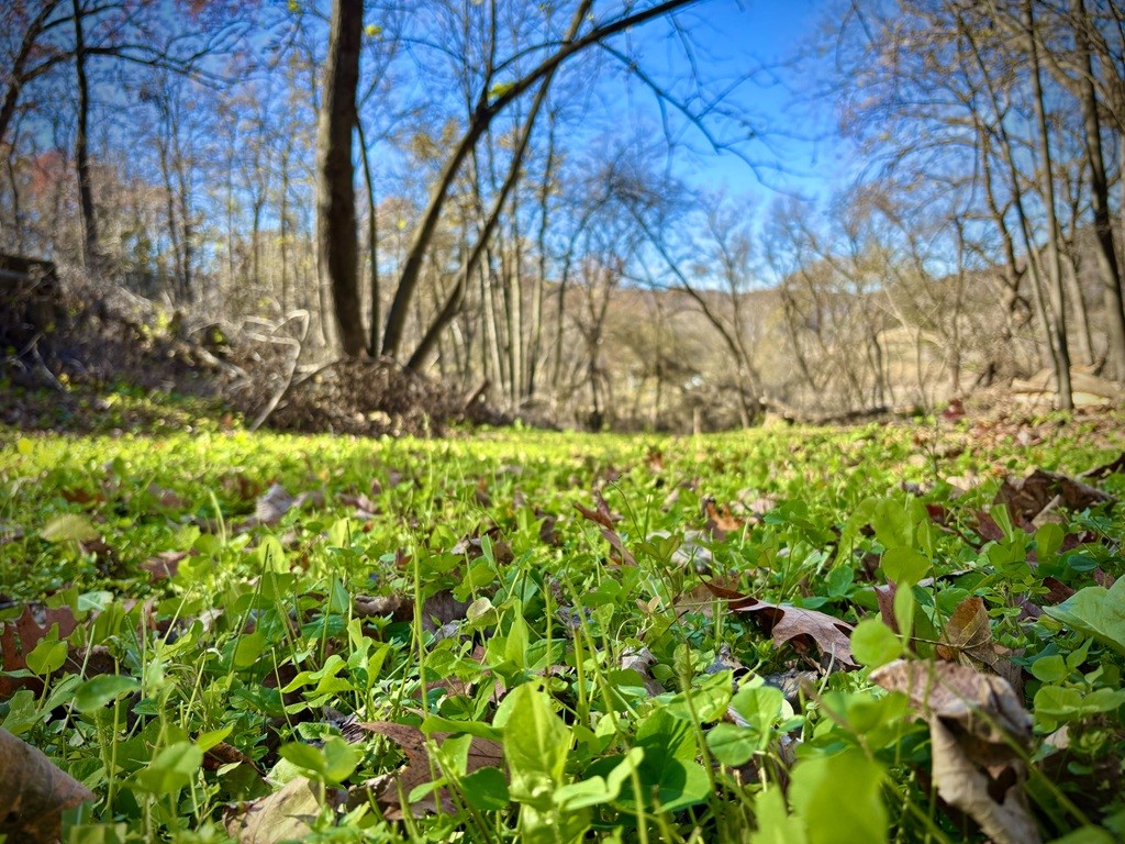 0 County Kk Alma WI 54610 1596932 image40