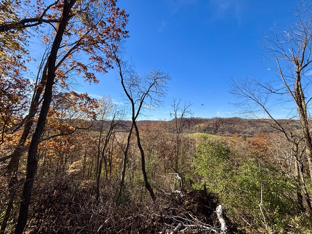 0 County Kk Alma WI 54610 1596932 image46