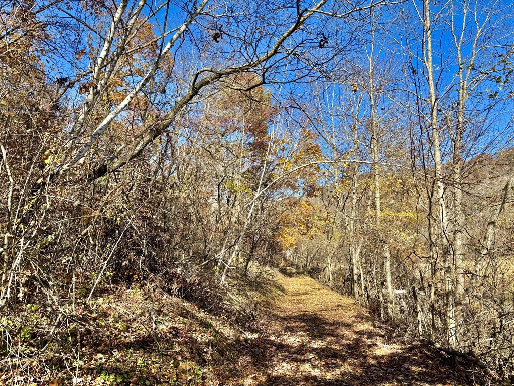 0 County Kk Alma WI 54610 1596932 image48