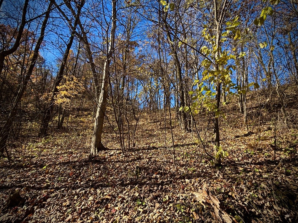 0 County Kk Alma WI 54610 1596932 image49