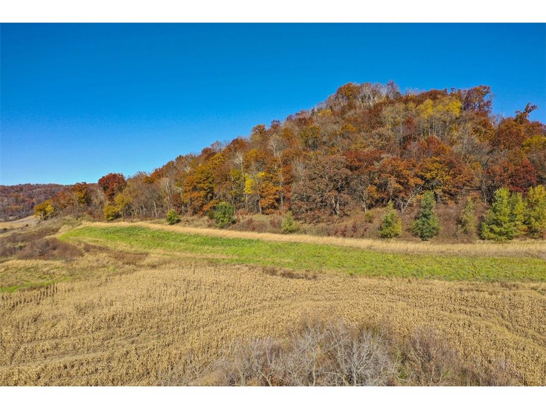 0 County Kk Alma WI 54610 1596932 image5