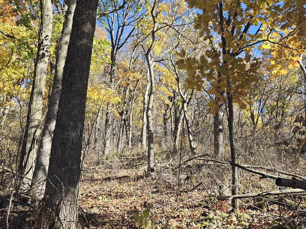 0 County Kk Alma WI 54610 1596932 image50