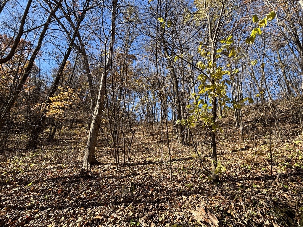 0 County Kk Alma WI 54610 1596932 image51