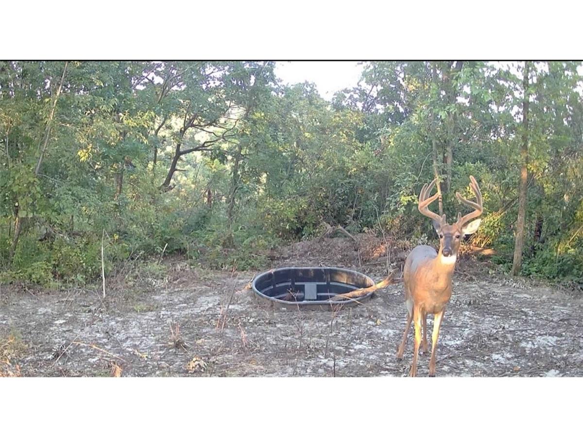 0 County Kk Alma WI 54610 1596932 image52