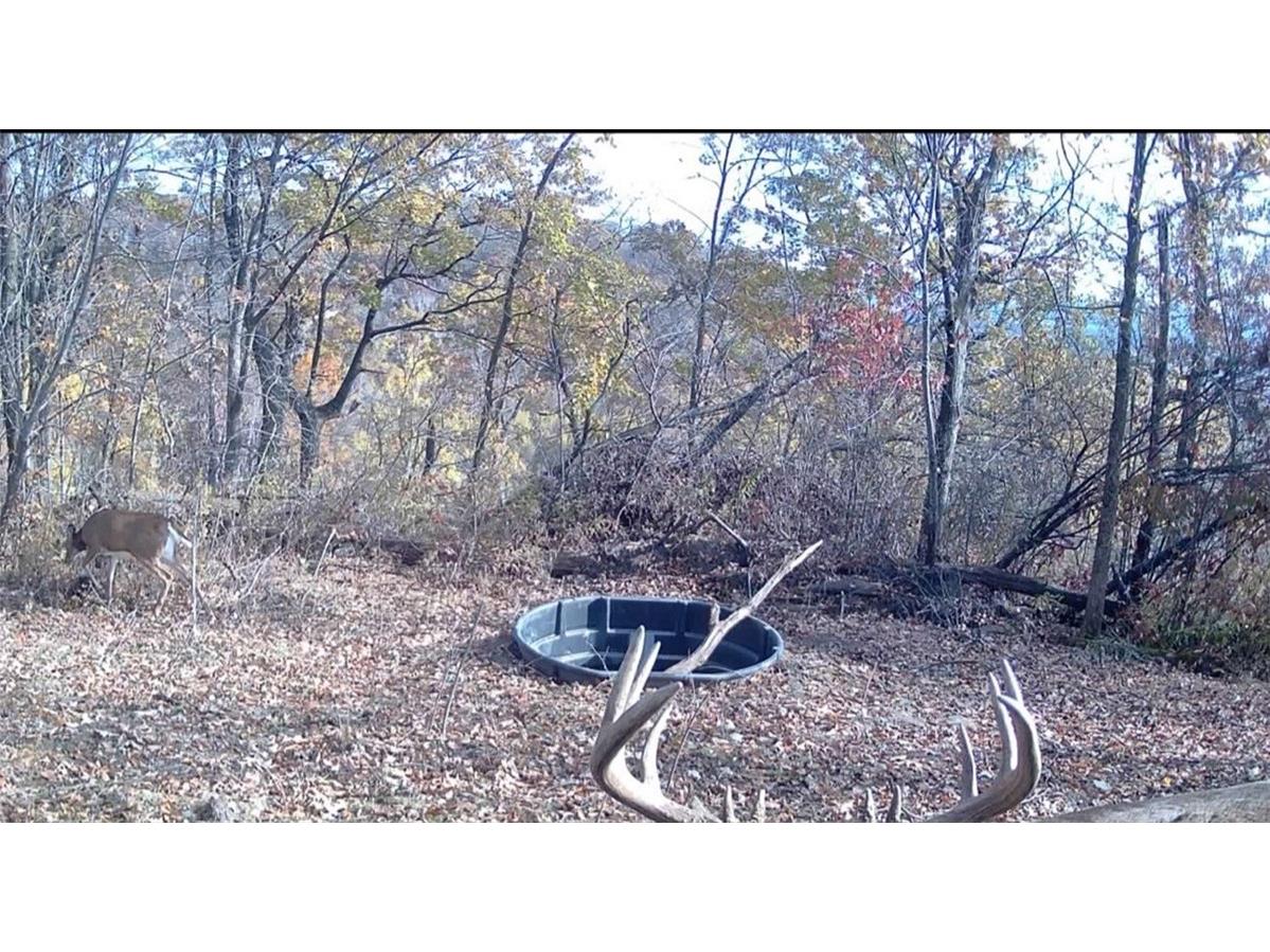 0 County Kk Alma WI 54610 1596932 image53