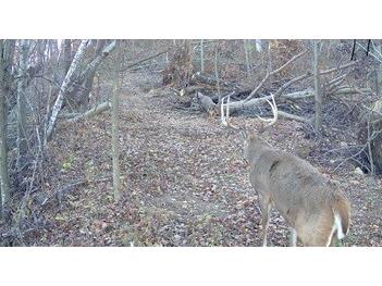 0 County Kk Alma WI 54610 1596932 image54