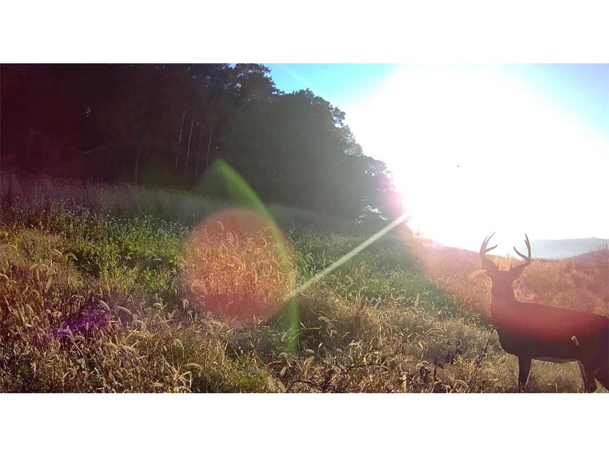 0 County Kk Alma WI 54610 1596932 image55