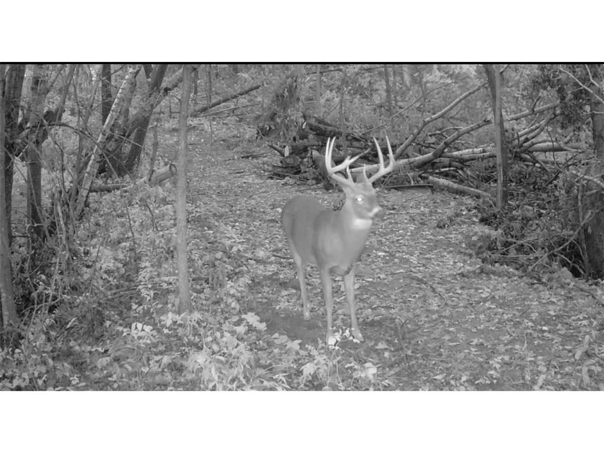 0 County Kk Alma WI 54610 1596932 image56