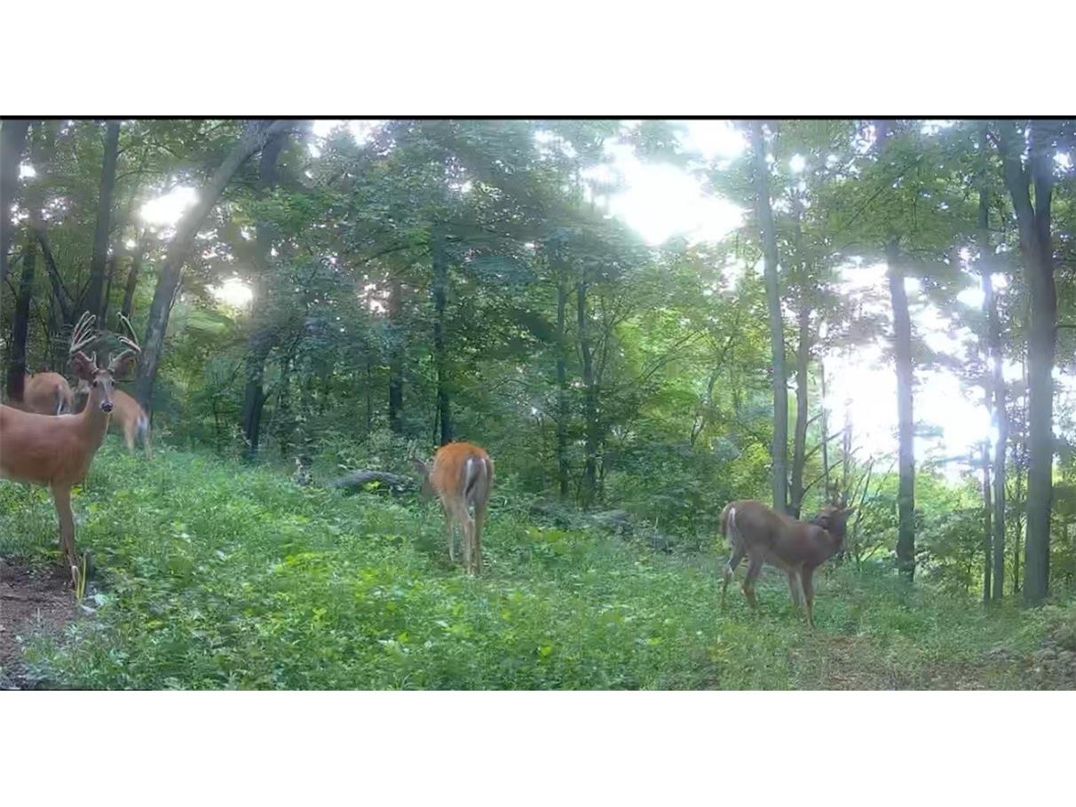 0 County Kk Alma WI 54610 1596932 image57