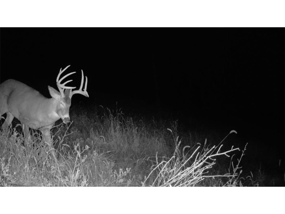 0 County Kk Alma WI 54610 1596932 image58